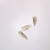 Schistosoma mansoni Eggs, w.m. Microscope Slide