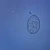 Diphyllobothrium latum Eggs, w.m. Microscope Slide