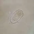 Enterobius vermicularis Eggs, w.m. Microscope Slide