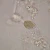 Necator americanus Eggs, w.m. Microscope Slide