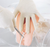 Transparent Female Catheter Model