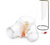 Transparent Male Catheter Model