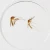 Culex Male and Female, w.m. Microscope Slide