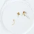 Mosquito Life Cycle, w.m. Microscope Slide