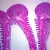 Starfish Tube Feet, c.s. 7 µm H&E Microscope Slide