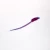 Ascidian Swimming Tadpole, w.m. Microscope Slide