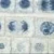 Ascaris, Fish, and Onion Mitosis Microscope Slide and Study Guide Set