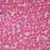 Human Male Blood Film Slide, Smear