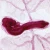 Beginner's Chick Whole Mount Microscope Slide Set