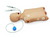 Advanced Child CPR/Airway Management Torso with Defibrillation Features