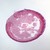 Frog Late Yolk Plug, rep. sag. sec. Microscope Slide