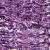 Human Elastic Tissue, sec., 7 µm, Verhoeff stain Microscope Slide