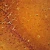 Mammal Cerebrum Pyramidal Neurons, sec. 7 µm silver stain Microscope Slide