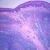 Human Palatine Tonsil sec. 7 µ H&E stain Microscope Slide