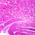 Skin, Fish, Sec. Microscope Slide