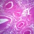 Spermatic Cord, Microscope Slide