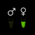 chickView™ DNA Sex Test