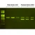 ZeeWee™ I Bird DNA Sex Test