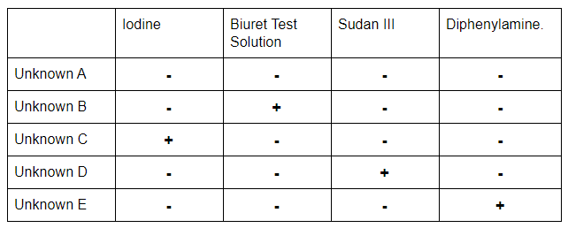 bio-p-cel-y11-12-1-img1s.png