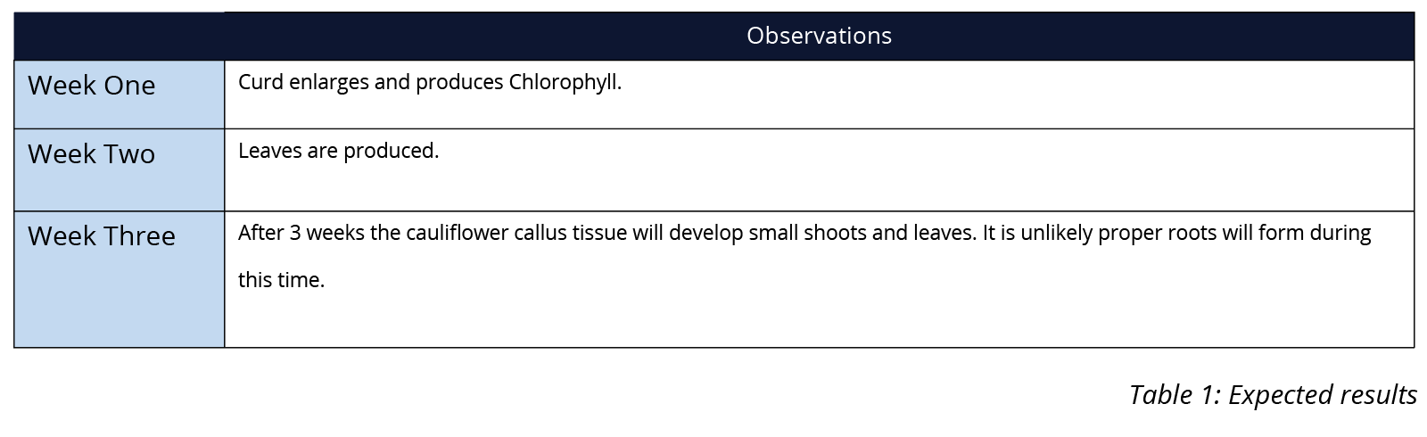 bio-p-cel-y11-12-16-img1s.png