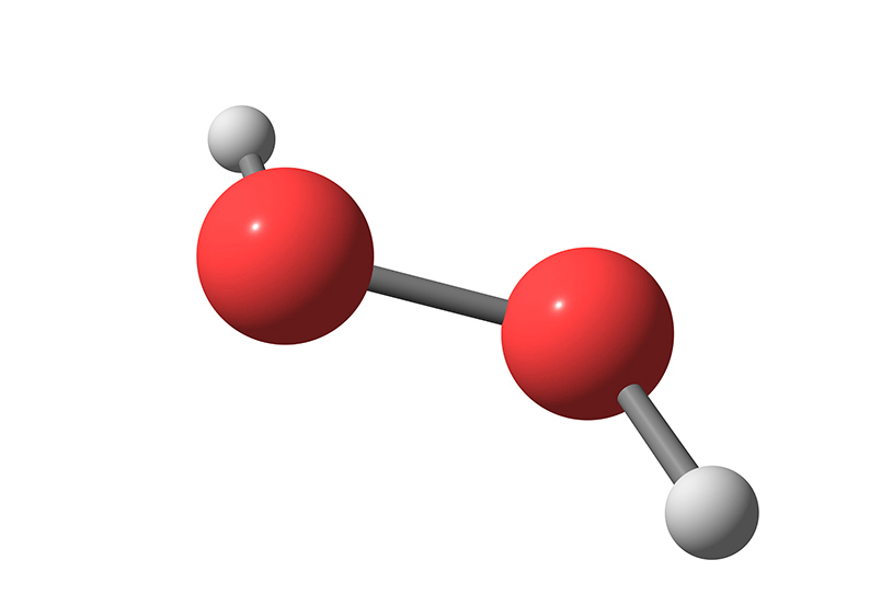 Enzymes in Action - Catalase