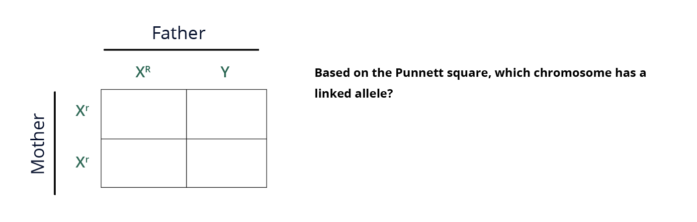 bio-p-gnt-y11-12-11-img3s.png