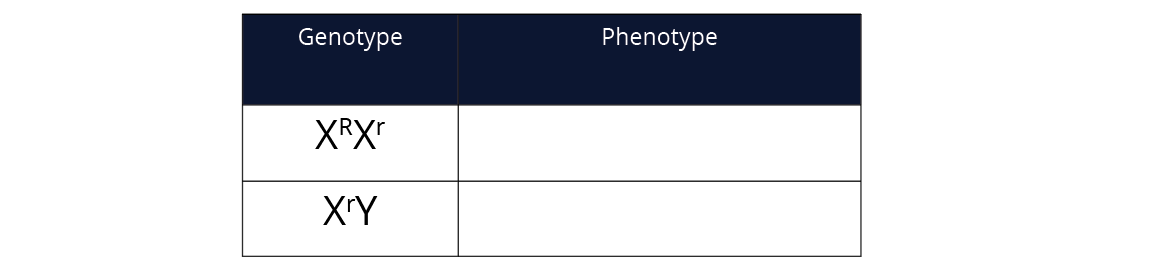 bio-p-gnt-y11-12-11-img4s.png