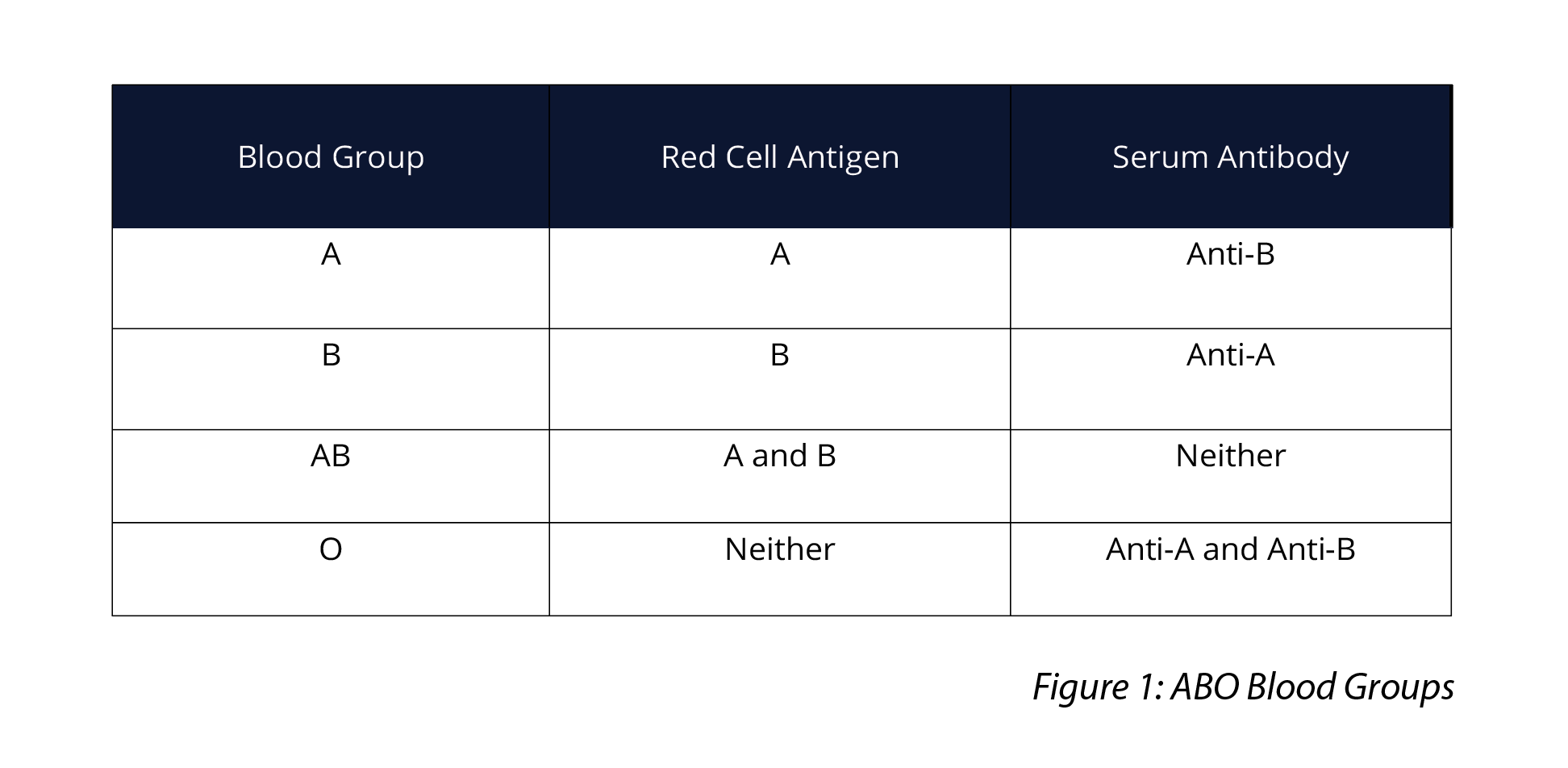 bio-p-gnt-y11-12-9-img3.png