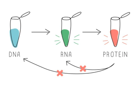 dna-glow-lab-1.jpg