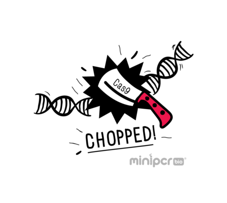 minipcr-chopped-logo-color-01-1-450x402.png