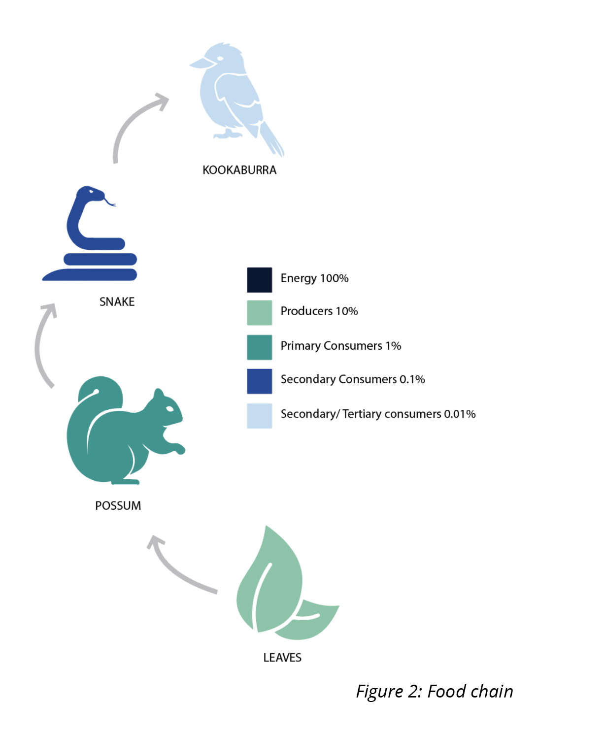 owls food web labeled