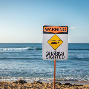 shark-warning-shutterstock-1027173433-450x300.jpg