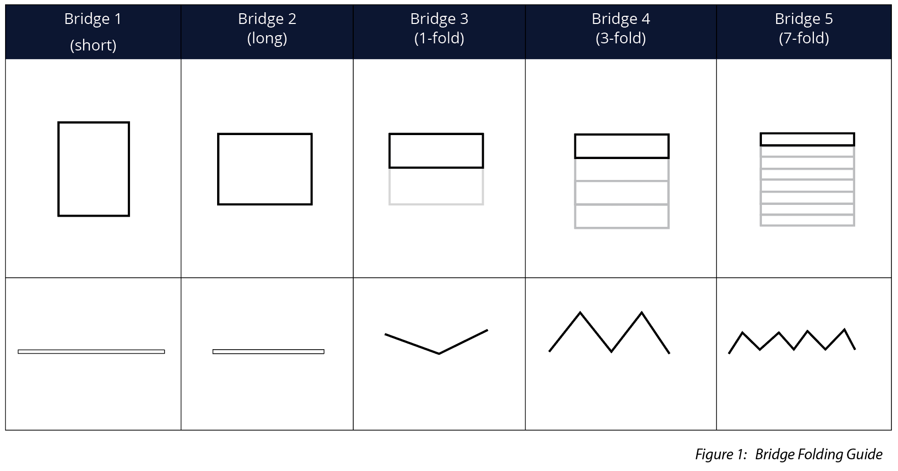 stem-p-ayl-2-img1s.png