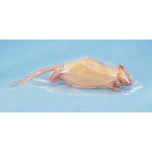 Rat, Male, Preserved, Perfect Solution