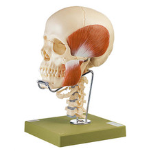 SOMSO426__60424__47519.