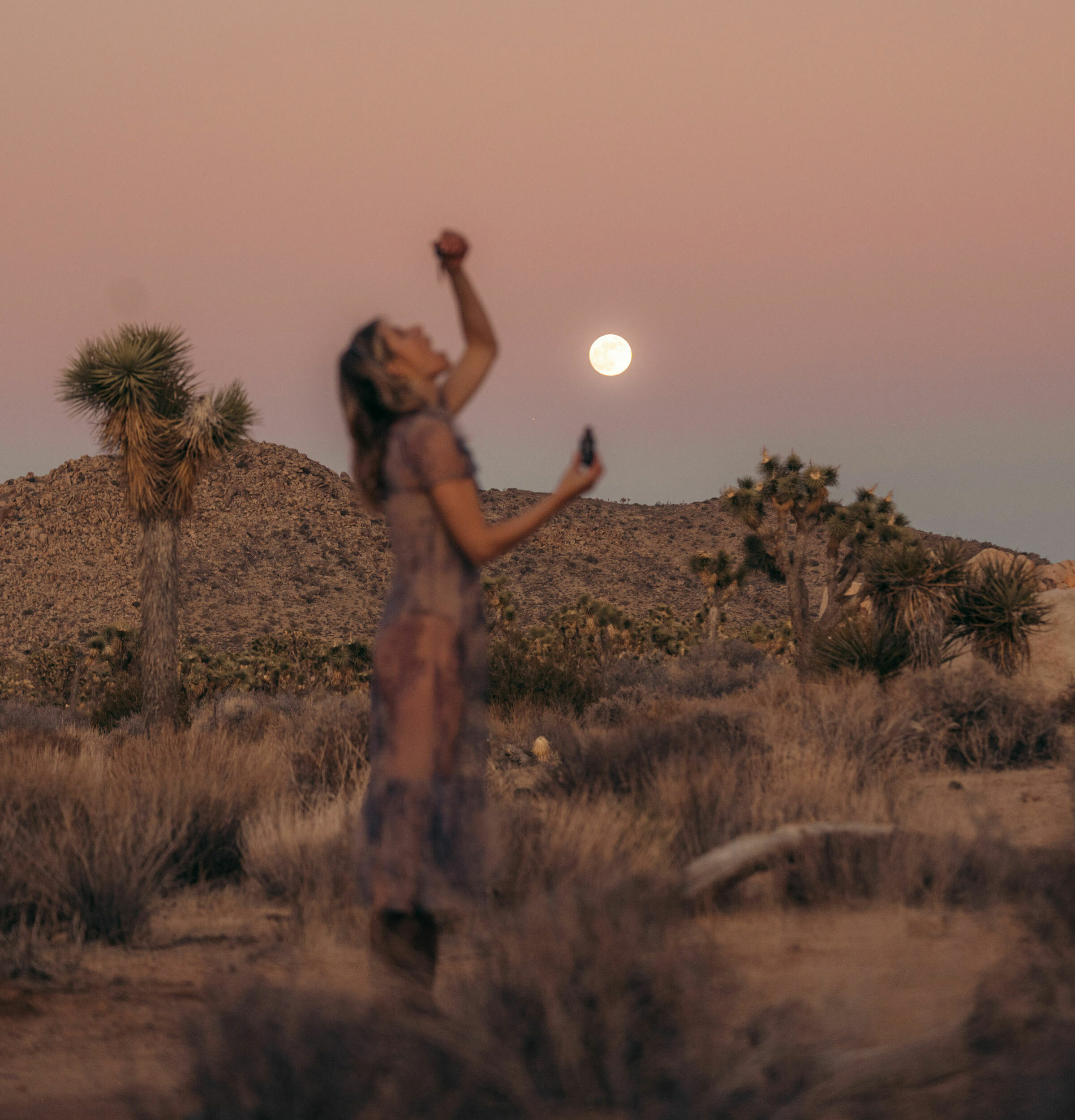 regenerative biodynamic organic hemp 