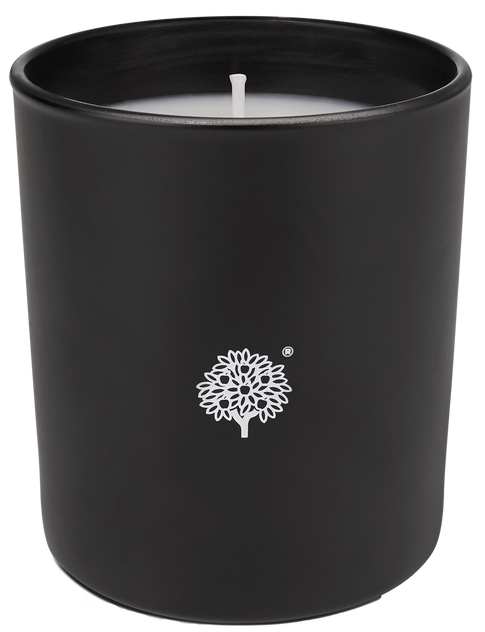 Crabtree & Evelyn Noel Poured Candle 200ml