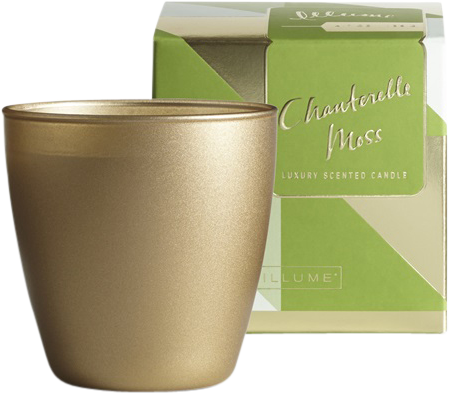 ILLUME Demi Boxed Glass Chanterelle Moss Candle - 189g