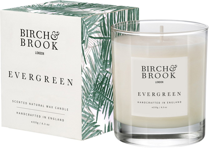 Birch & Brook Evergreen Candle