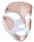 Dr Dennis Gross Spectralite FaceWare Pro