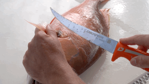 Dexter EZ Edge Hand Held Knife Sharpener - Groomer's Seafood