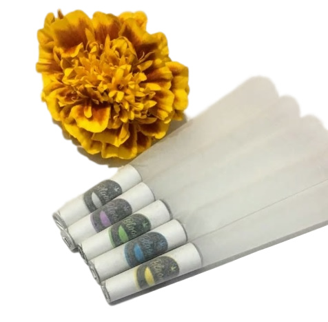 Custom Printed Tip Cones  (800/box)