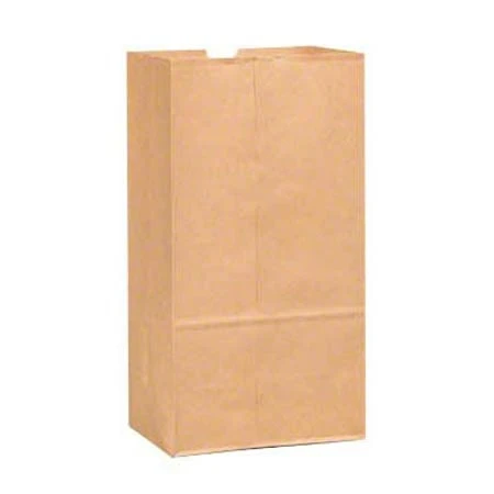 Duro 6# Paper Bag | 500ct