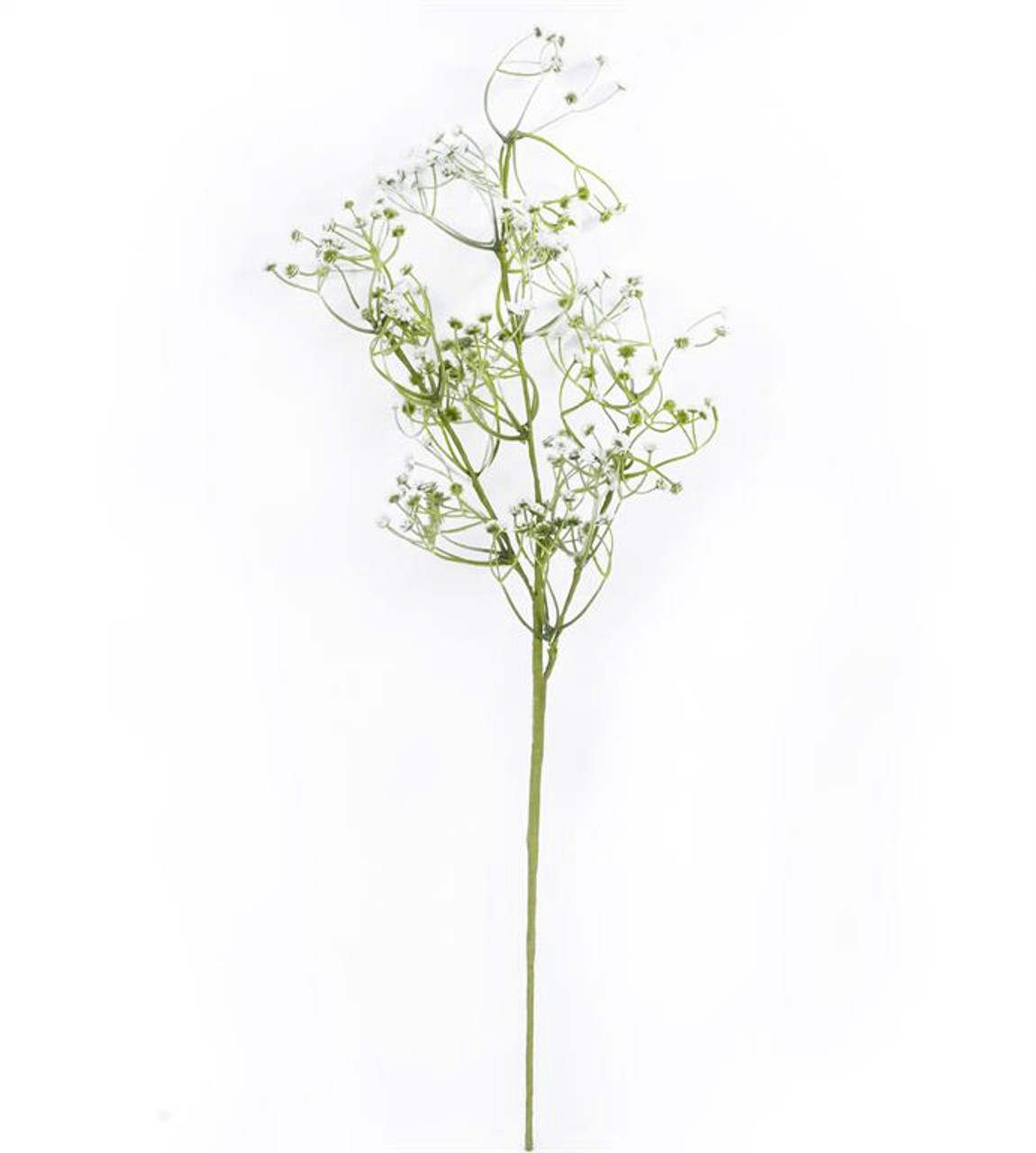 Baby's Breath: 200 stems pictured for those who want to know