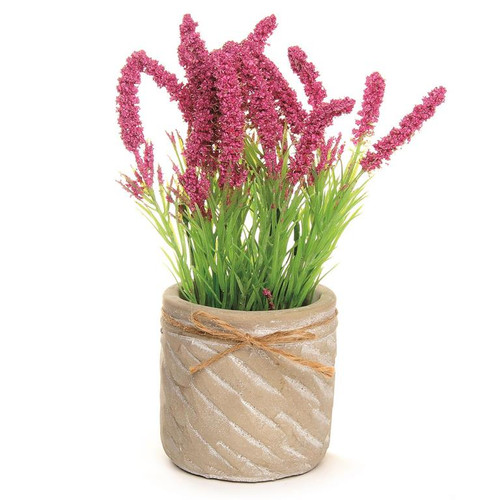 Pink Flowers in Cement Pot