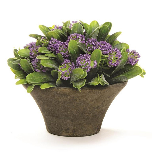 Purple Flowers Flowers in Short Gray Pot