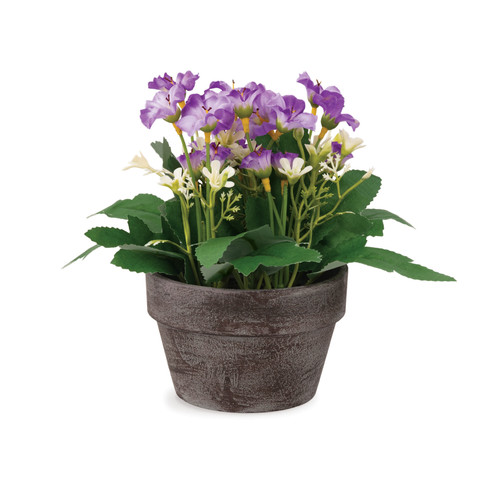 Purple Florals in Flower Pot