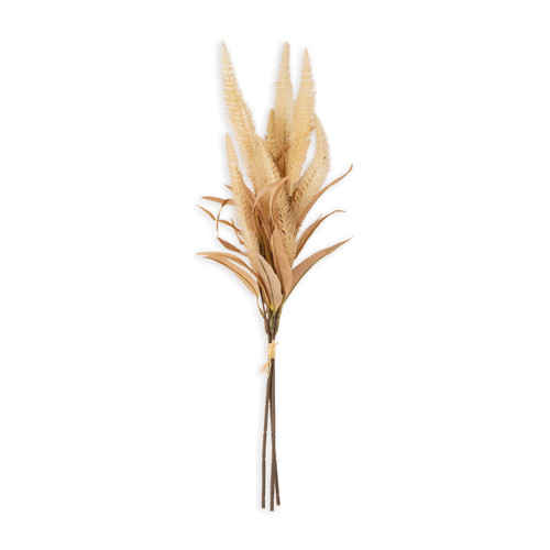 Cream Foxtail Bundle, 28"