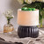 The Luxe Lamp Illumination Fragrance Warmer warming green wax melts on a linen cloth, styled with white flowers in a glass vase to create a relaxing, ambient home atmosphere