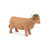 Highland Cow With Holly Sprig